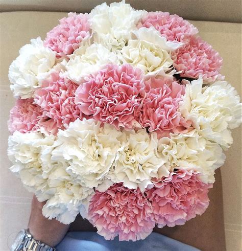 are carnations cheap